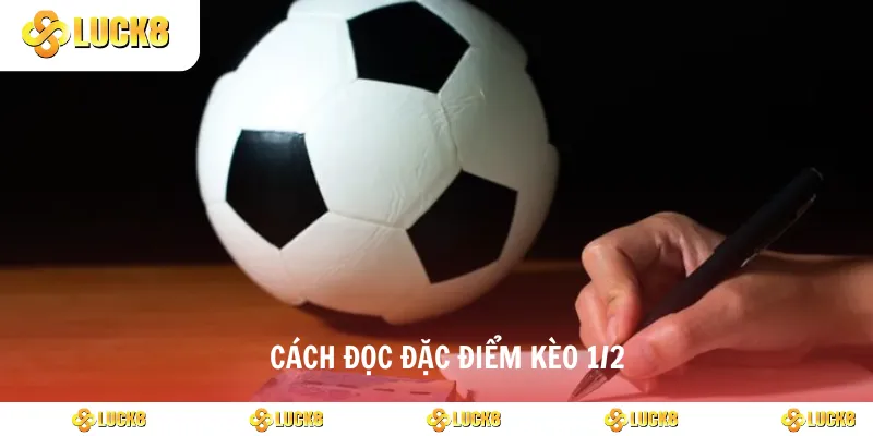 Cách đọc đặc điểm kèo 1/2