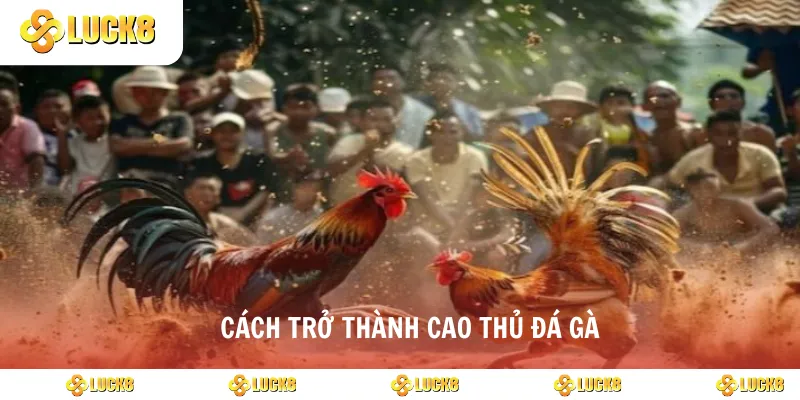 Cách trở thành cao thủ đá gà