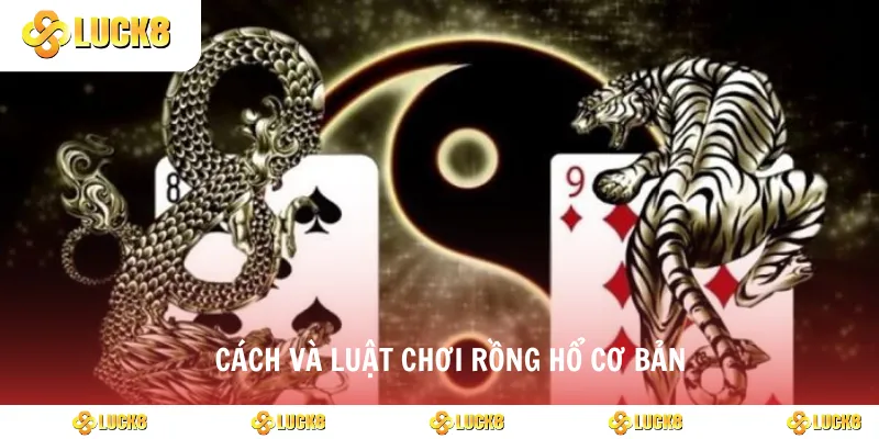 Cách và luật chơi rồng hổ cơ bản