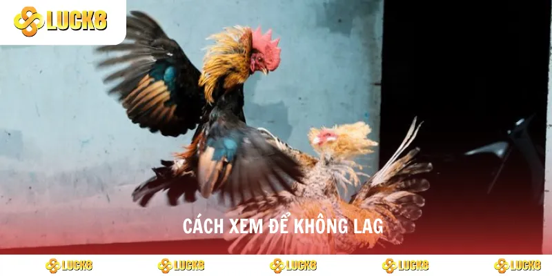 Cách xem để không lag