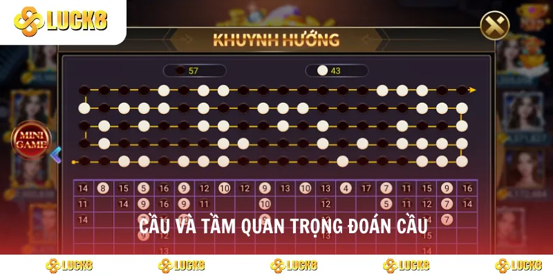 Cầu và tầm quan trọng đoán cầu