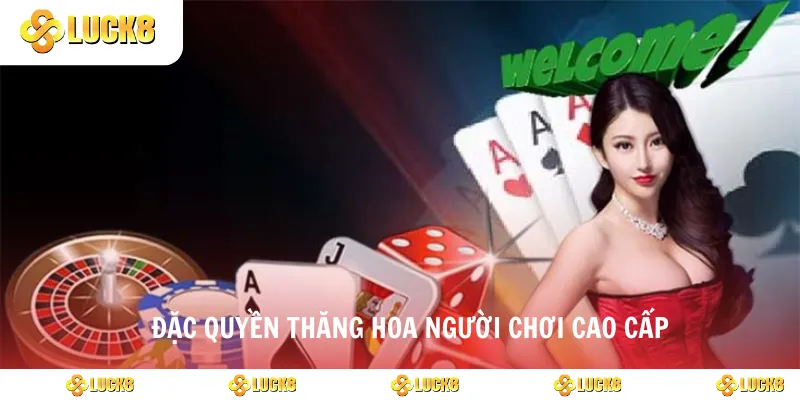 Đặc quyền thăng hoa người chơi cao cấp