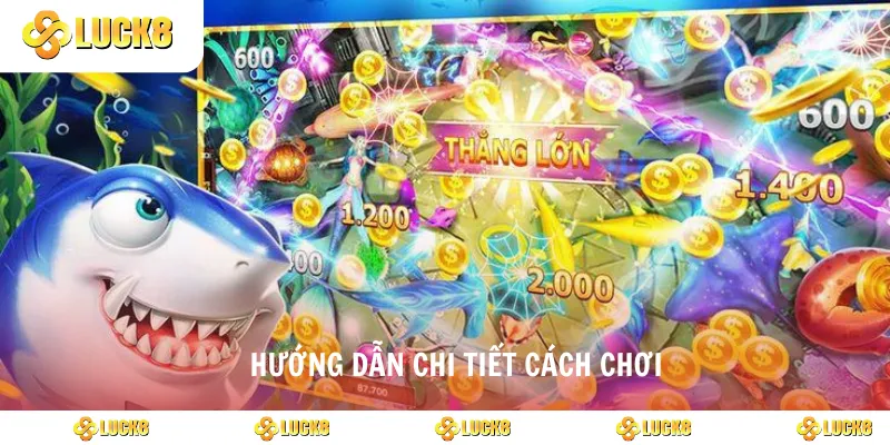 Hướng dẫn chi tiết cách chơi