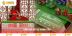 làm sao để dự đoán cầu