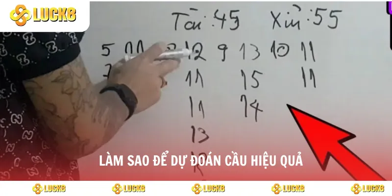 Làm sao để dự đoán cầu hiệu quả