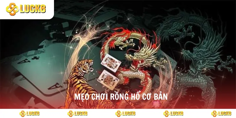 Mẹo chơi rồng hổ cơ bản