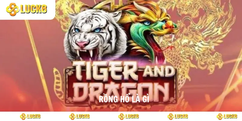 rồng hổ là gì