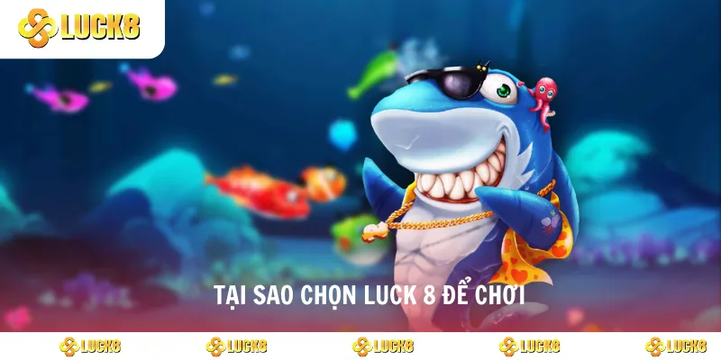 Tại sao chọn luck 8 để chơi